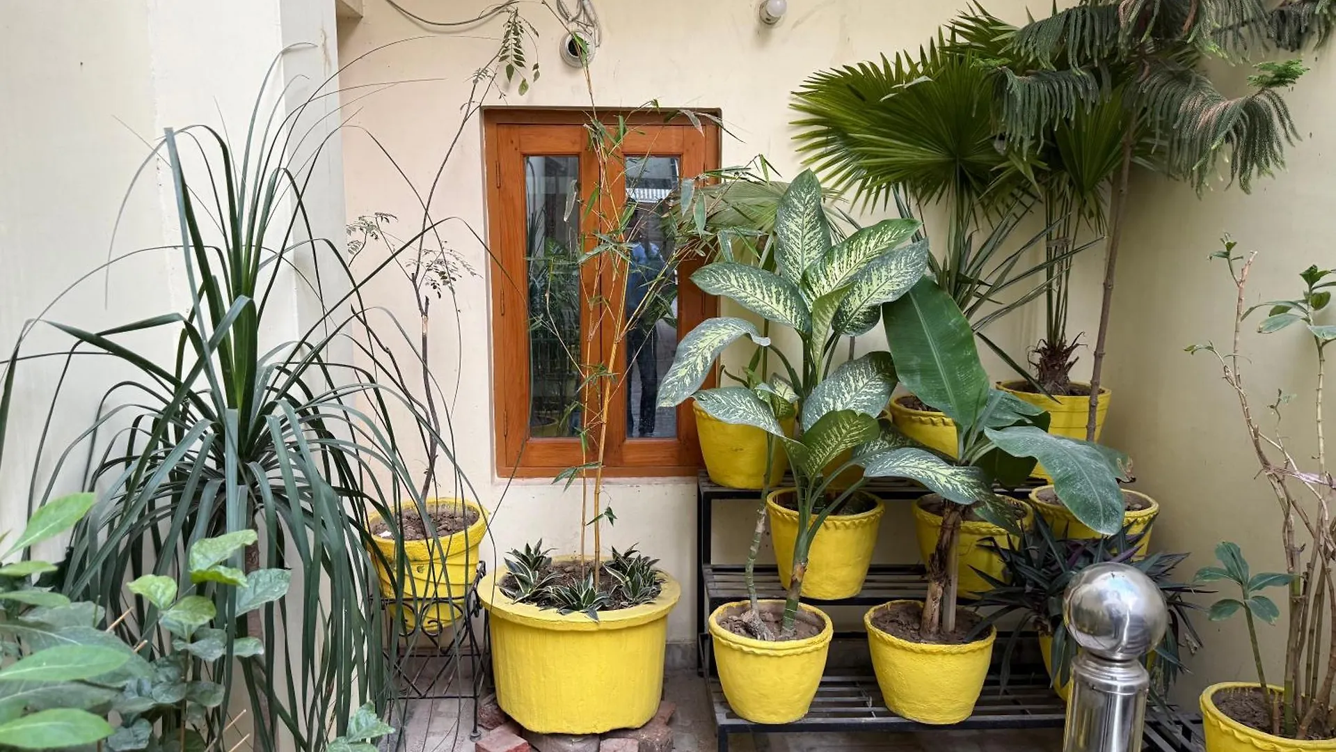 Veerbhadra Villa Benares 0*,
